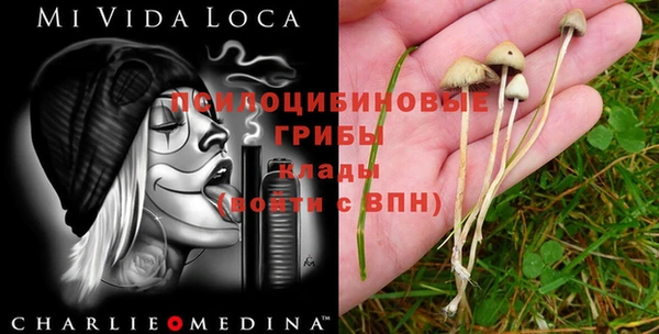 спайс Ладушкин