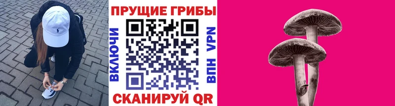 Псилоцибиновые грибы мухоморы  Игра 